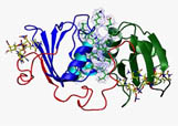 UCLA Department of Microbiology and Molecular Genetics